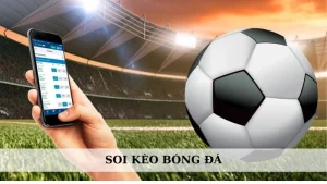 Soi kèo bóng đá